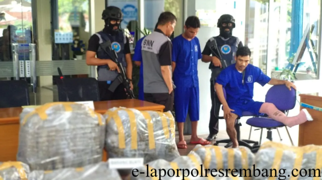 BNN Tindak Tegas 100 Kg Ganja Gagal Masuk Pasar Sumbar